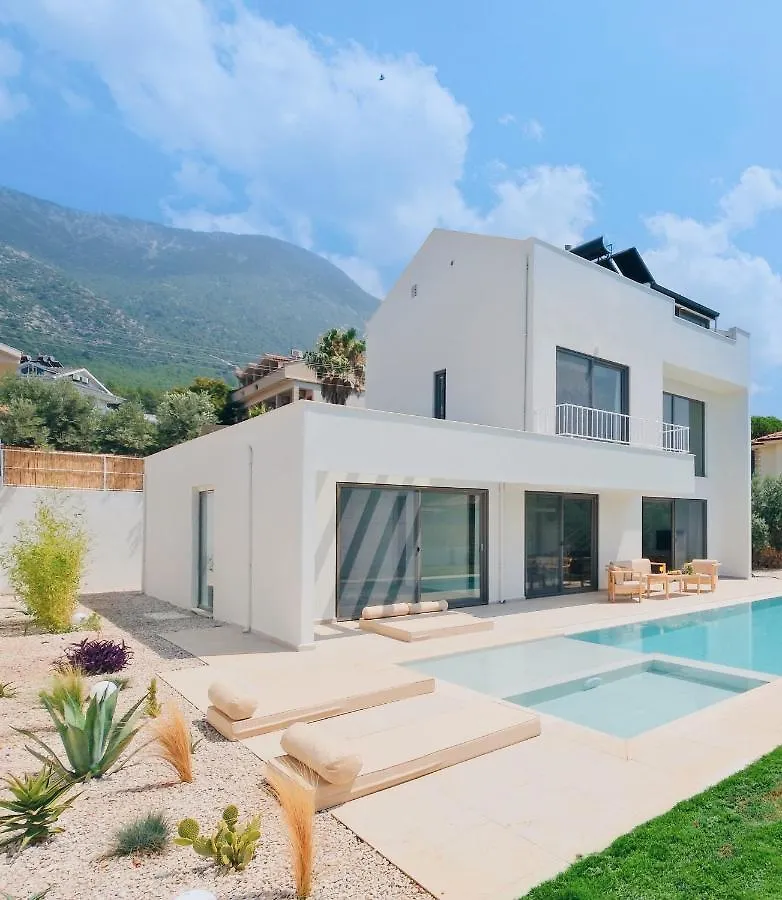 Villa Neo With 2 Private Pools, Bbq, Jacuzzi And Sauna フェティエ トルコ