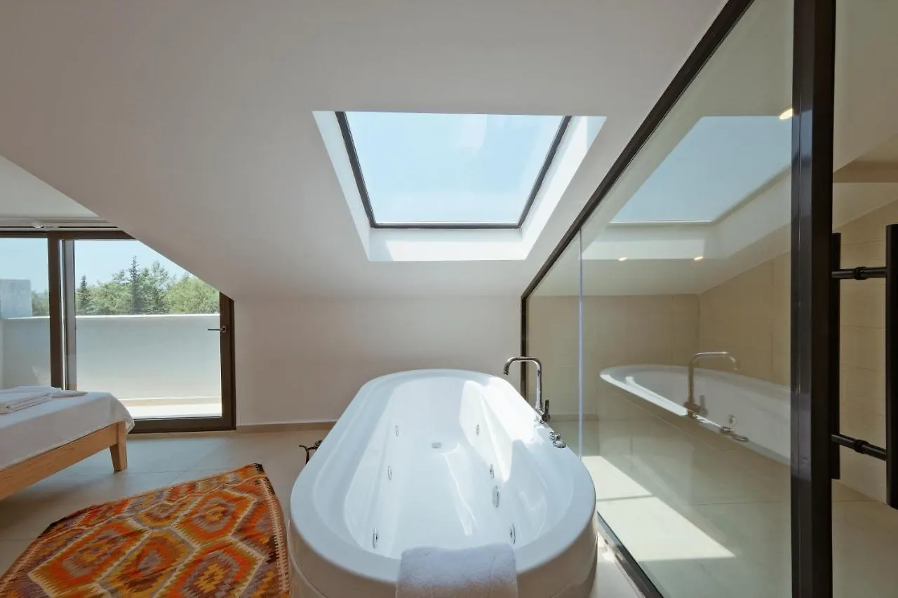 Villa Neo With 2 Private Pools, Bbq, Jacuzzi And Sauna フェティエ 0*,